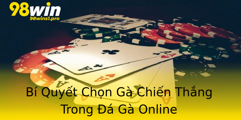 Bí Quyết Chọn Gà Chiến Thắng Trong Đá Gà Online Bí Quyết Chọn Gà Chiến Thắng Trong Đá Gà Online