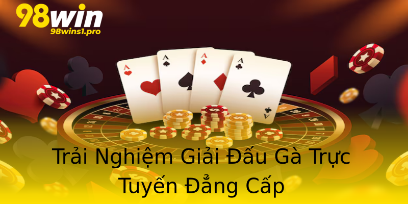 Trải Nghiệm Giải Đấu Gà Trực Tuyến Đẳng Cấp Trải Nghiệm Giải Đấu Gà Trực Tuyến Đẳng Cấp