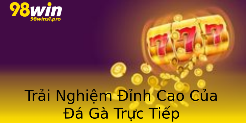 Trải Nghiệm Đỉnh Cao Của Đá Gà Trực Tiếp Trải Nghiệm Đỉnh Cao Của Đá Gà Trực Tiếp